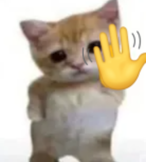 A kitten waving hello